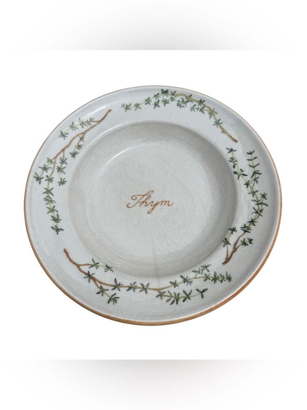 Vintage Williams Sonoma Thyme Pasta Bowl Italy Culinary Herbs Retired Rare HTF
